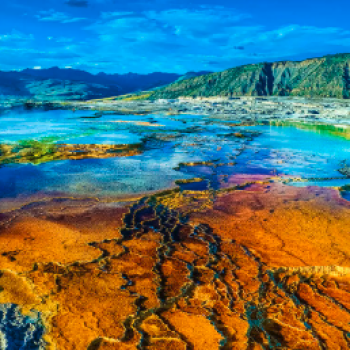 옐로우스톤 투어