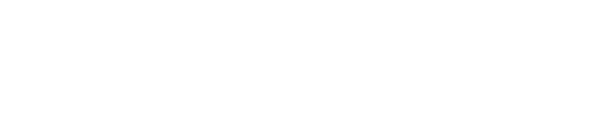 베가스조아투어